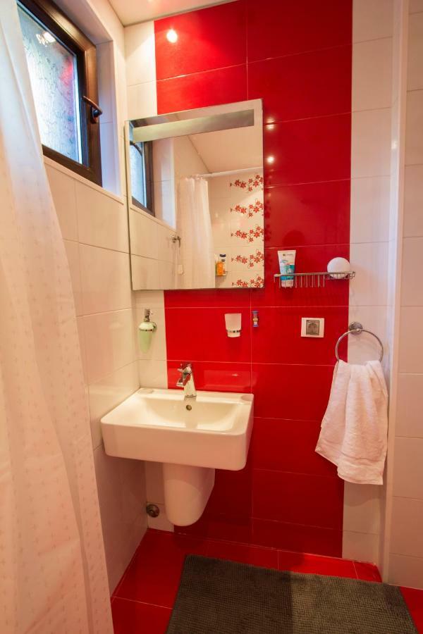 Modern Apartment In The Heart Of Vidin Luaran gambar