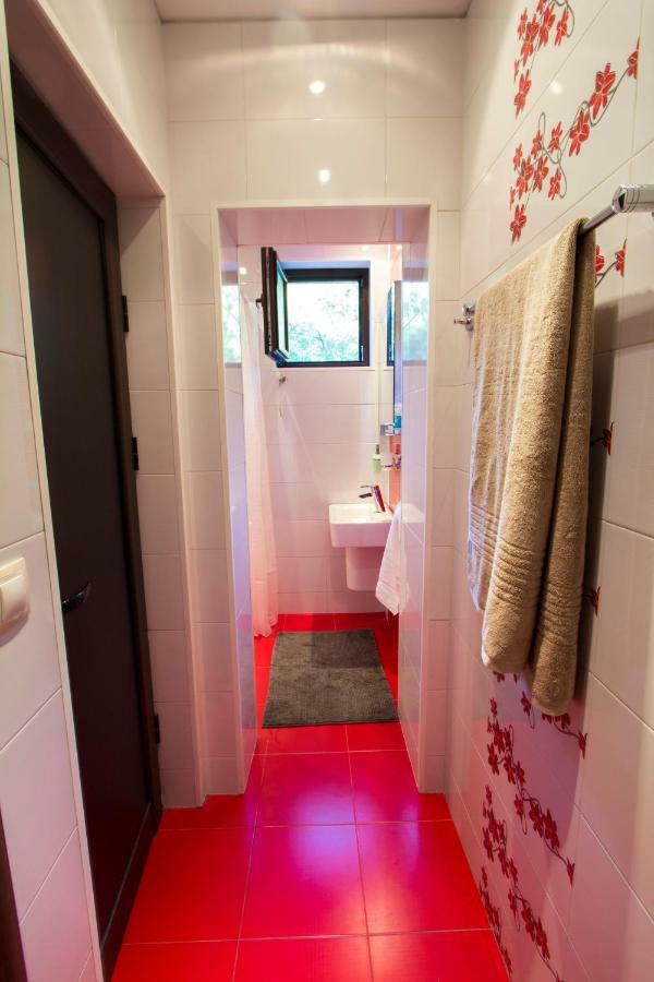 Modern Apartment In The Heart Of Vidin Luaran gambar